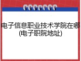 电子信息职业技术学院在哪(电子职院地址)