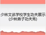 少林文武学校学生功夫展示(少林弟子功夫秀)