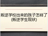 叛逆学校出来的孩子怎样了(叛逆学生现状)