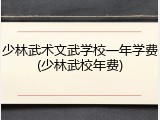 少林武术文武学校一年学费(少林武校年费)