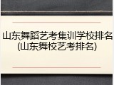 山东舞蹈艺考集训学校排名(山东舞校艺考排名)