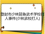 登封市少林延鲁武术学校打人事件(少林武校打人)