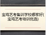 宝鸡艺考集训学校哪家好(宝鸡艺考培训优选)