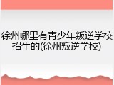 徐州哪里有青少年叛逆学校招生的(徐州叛逆学校)