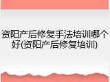 资阳产后修复手法培训哪个好(资阳产后修复培训)