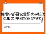 赣州宁都县农业职高学校怎么报名(宁都农职高报名)