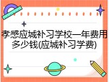 孝感应城补习学校一年费用多少钱(应城补习学费)