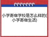 小学寄宿学校是怎么样的(小学寄宿生活)