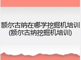额尔古纳在哪学挖掘机培训(额尔古纳挖掘机培训)