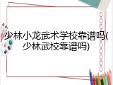 少林小龙武术学校靠谱吗(少林武校靠谱吗)