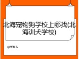 北海宠物狗学校上哪找(北海训犬学校)