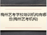 梅州艺考学校培训机构有哪些(梅州艺考机构)