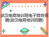 武汉电商培训班电子商务招聘(武汉电商培训招聘)