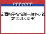 定西狗学校培训一般多少钱(定西训犬费用)