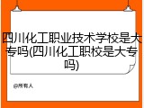 四川化工职业技术学校是大专吗(四川化工职校是大专吗)
