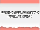 博尔塔拉哪里找宠物狗学校(博州宠物狗培训)