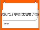 沈阳电子学校(沈阳电子校)