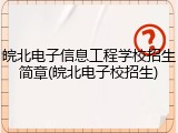 皖北电子信息工程学校招生简章(皖北电子校招生)