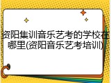 资阳集训音乐艺考的学校在哪里(资阳音乐艺考培训)