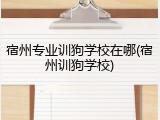 宿州专业训狗学校在哪(宿州训狗学校)