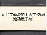 河池学动漫的中职学校(河池动漫职校)
