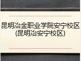 昆明冶金职业学院安宁校区(昆明冶安宁校区)