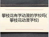 攀枝花有学动漫的学校吗(攀枝花动漫学校)