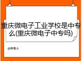 重庆微电子工业学校是中专么(重庆微电子中专吗)