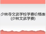 少林寺文武学校学费价格表(少林文武学费)
