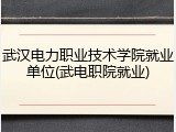 武汉电力职业技术学院就业单位(武电职院就业)
