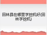 田林县在哪里学挖机好(田林学挖机)