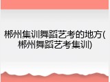 郴州集训舞蹈艺考的地方(郴州舞蹈艺考集训)