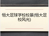 恒大足球学校校景(恒大足校风光)