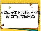 在河南考不上高中怎么办理(河南高中落榜出路)