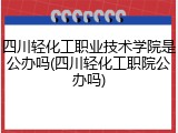 四川轻化工职业技术学院是公办吗(四川轻化工职院公办吗)