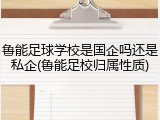 鲁能足球学校是国企吗还是私企(鲁能足校归属性质)