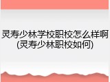 灵寿少林学校职校怎么样啊(灵寿少林职校如何)