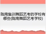 陇南集训舞蹈艺考的学校有哪些(陇南舞蹈艺考学校)