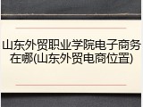 山东外贸职业学院电子商务在哪(山东外贸电商位置)