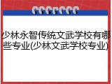 少林永智传统文武学校有哪些专业(少林文武学校专业)