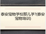 泰安宠物学校那儿学?(泰安宠物培训)