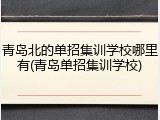 青岛北的单招集训学校哪里有(青岛单招集训学校)