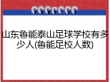 山东鲁能泰山足球学校有多少人(鲁能足校人数)