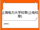 上海电力大学校草(上电校草)