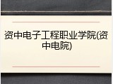 资中电子工程职业学院(资中电院)