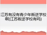 江苏有没有青少年叛逆学校啊(江苏叛逆学校有吗)
