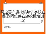阿拉善右旗挖机培训学校在哪里(阿拉善右旗挖机培训点)