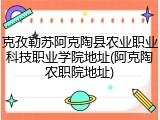 克孜勒苏阿克陶县农业职业科技职业学院地址(阿克陶农职院地址)