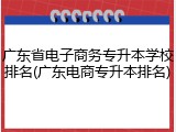 广东省电子商务专升本学校排名(广东电商专升本排名)