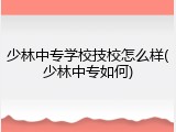 少林中专学校技校怎么样(少林中专如何)